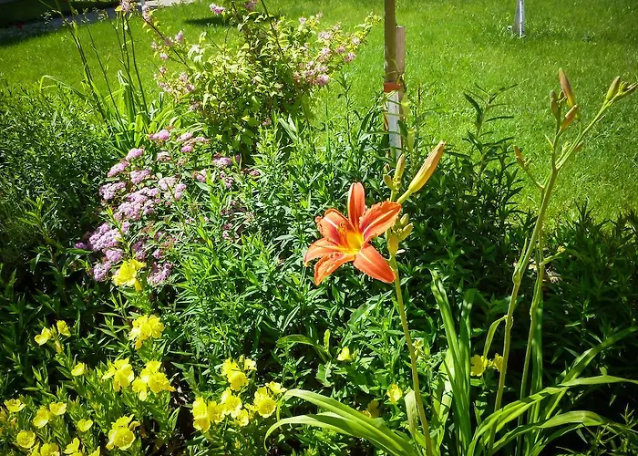 Апартамент Waterpark